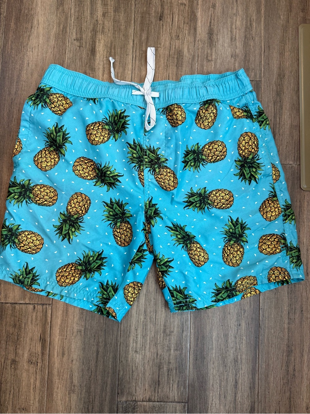 Trinity Turquoise Pineapple Swim Trunks